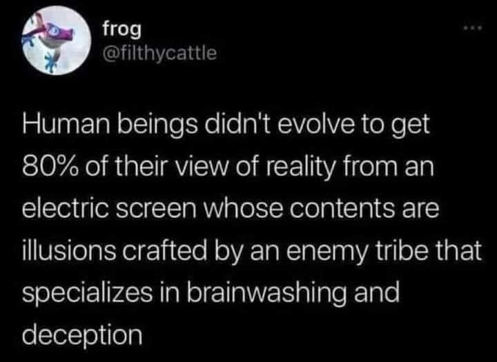 The meme is a humorous observation about the human experience. It states: "Human beings didn't evolve to get 80% of their view of reality from an electric screen whose contents are illusions crafted by an enemy tribe that specializes in brainwashing and deception."
